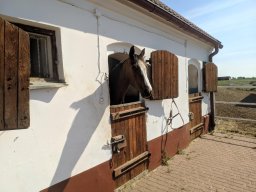 Wycieczka do ośrodka jeździeckiego „Quźnia Dzieciom” w Budach Czarnockich